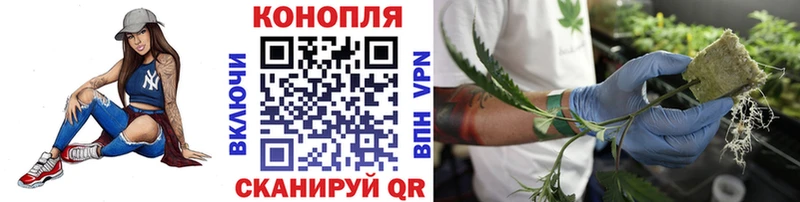 где купить наркоту  Кочубеевское  Марихуана THC 21% 